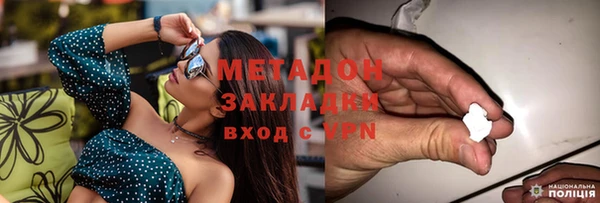 стаф Аркадак
