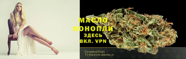 ECSTASY Армянск