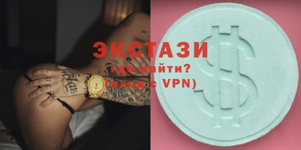 стаф Аркадак