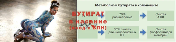 стаф Аркадак