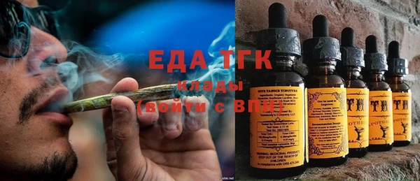 стаф Аркадак