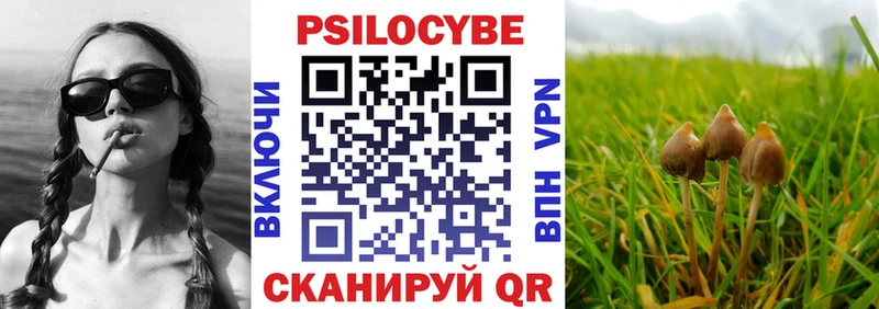 закладки  Лукоянов  Псилоцибиновые грибы Psilocybe 